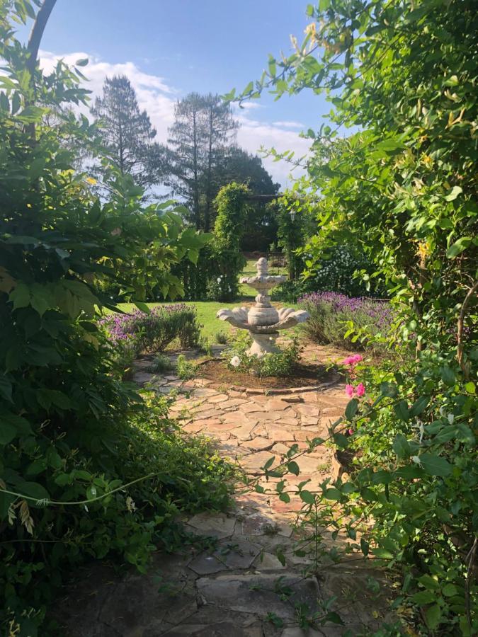 Apple And Rose Bed & Breakfast Belfast Bagian luar foto